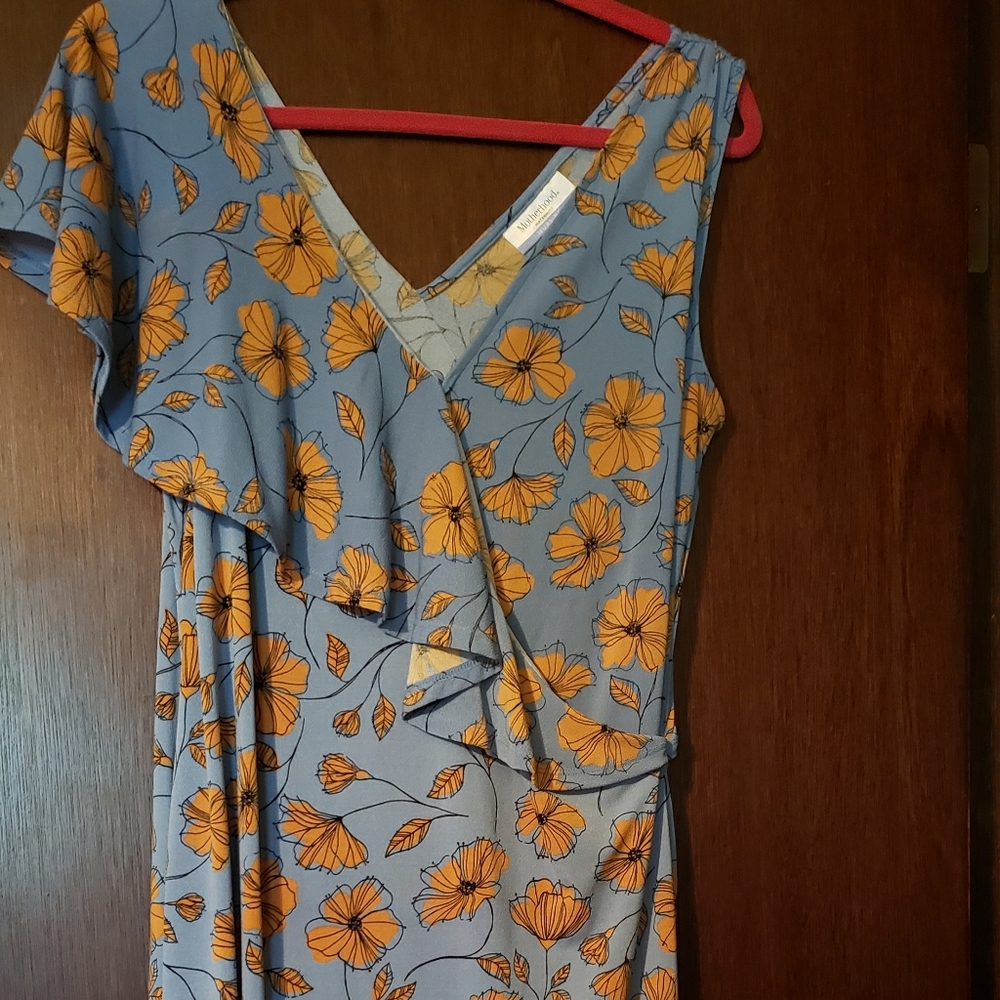 Maternity/nursing dress